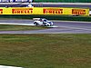 IMG_7074.JPG