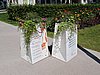 IMG_7264.JPG