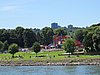IMG_7299.JPG
