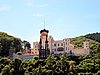 IMG_7309.JPG