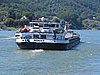 IMG_7313.JPG