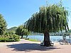 IMG_7320.JPG