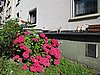 IMG_7377.JPG
