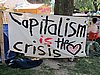 IMG_7401.JPG