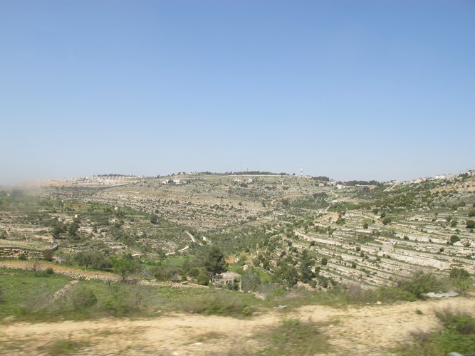 IMG_5182.JPG