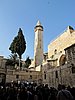 IMG_4877.JPG