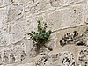 IMG_4881.JPG