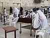 IMG_4913.JPG