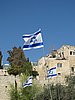 IMG_4917.JPG