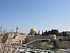 IMG_4920.JPG