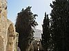 IMG_4925.JPG