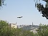 IMG_4953.JPG