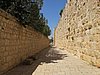 IMG_4955.JPG