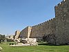 IMG_4956.JPG