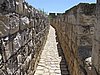 IMG_5004.JPG