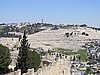 IMG_5012.JPG