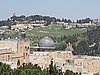 IMG_5013.JPG