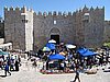 IMG_5023.JPG