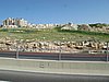 IMG_5047.JPG