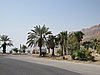 IMG_5061.JPG
