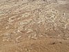 IMG_5080.JPG