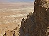 IMG_5087.JPG