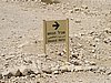 IMG_5098.JPG