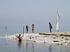 IMG_5116.JPG