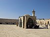 IMG_5124.JPG