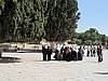 IMG_5125.JPG