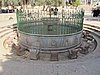 IMG_5126.JPG
