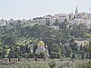 IMG_5141.JPG