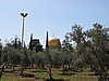 IMG_5147.JPG