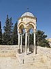 IMG_5150.JPG