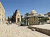 IMG_5155.JPG