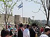IMG_5175.JPG