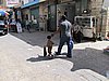 IMG_5189.JPG