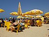 IMG_5249.JPG