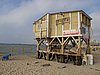 IMG_5258.JPG