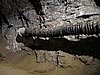 IMG_6867.JPG