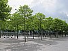 IMG_6908.JPG
