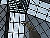 IMG_6913.JPG