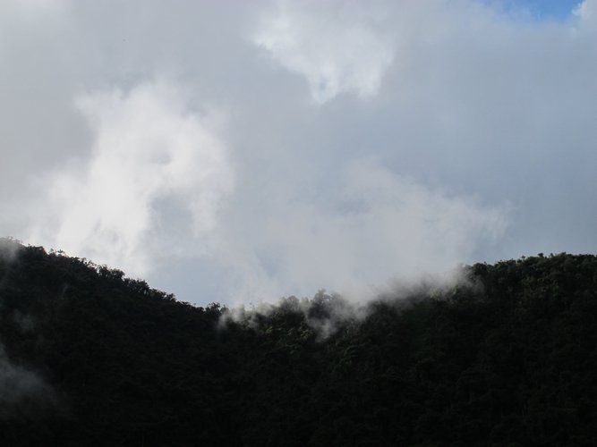 IMG_6310.JPG