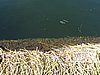 IMG_6089.JPG