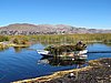 IMG_6100.JPG