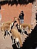 IMG_6139.JPG