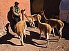 IMG_6149.JPG
