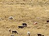 IMG_6157.JPG