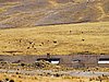 IMG_6166.JPG