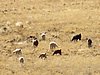IMG_6167.JPG